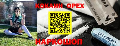шишки Изобильный