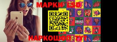 шишки Изобильный