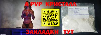 шишки Изобильный